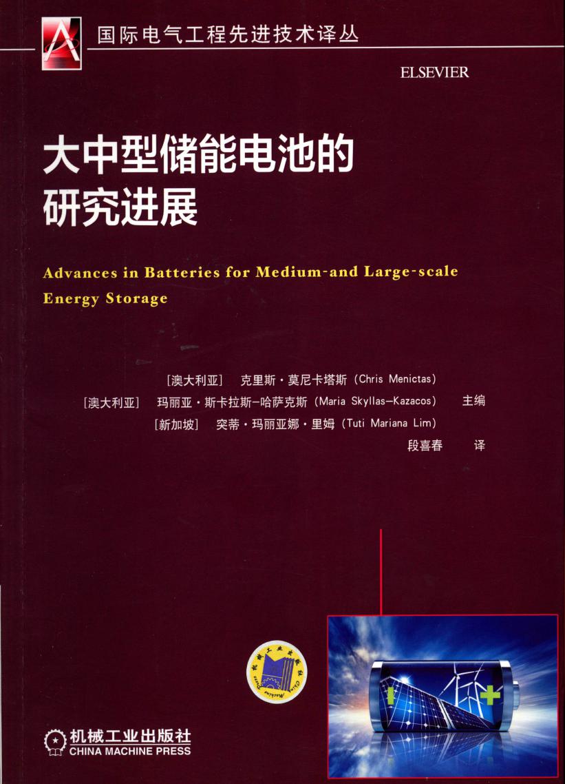 国际电气工程先进技术译丛 大中型储能电池的研究进展
