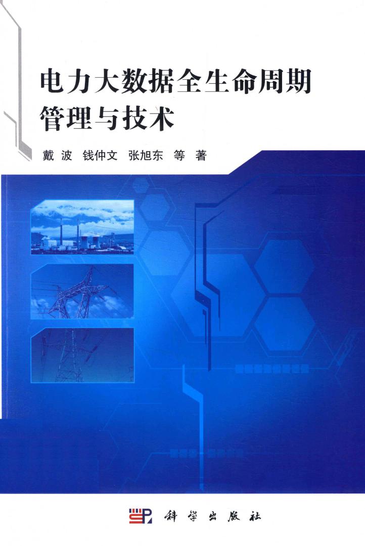 电力大数据全生命周期管理与技术 戴波等著 (2020版)