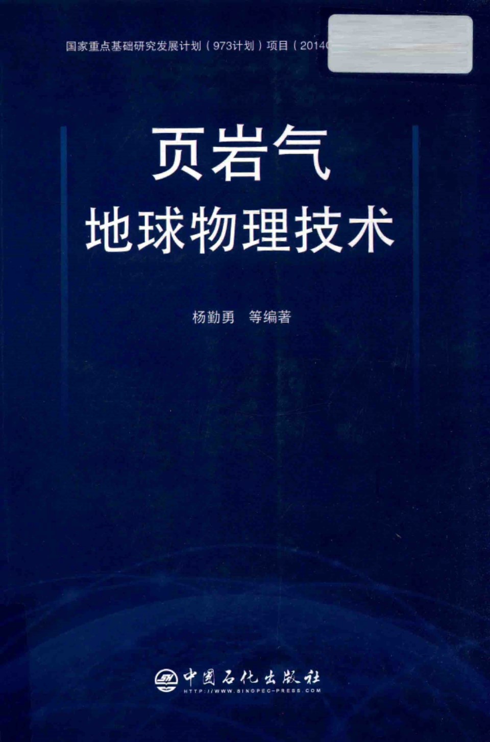 页岩气地球物理技术 杨勤勇