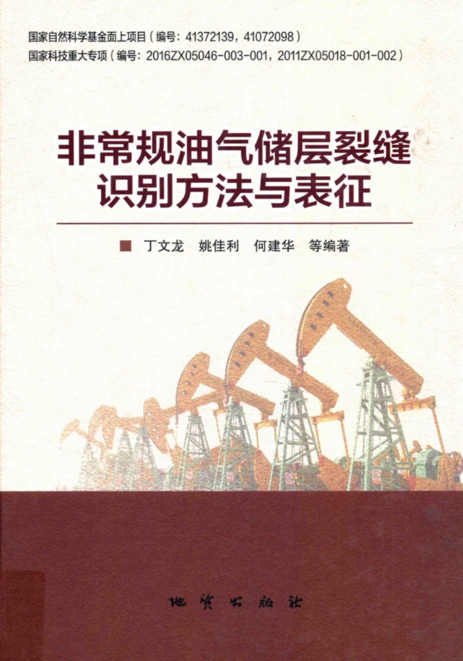 非常规油气储层裂缝识别方法与表征 丁文龙、姚佳利、何建华