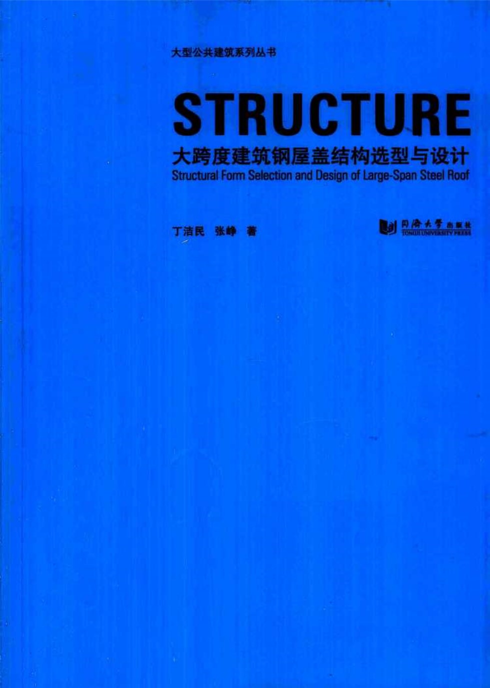 大跨度建筑钢屋盖结构选型与设计 丁洁民、张峥