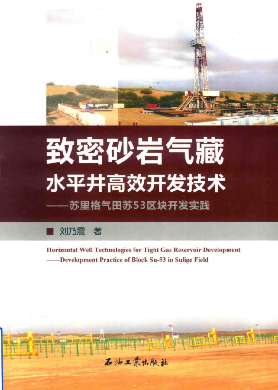 致密砂岩气藏水平井高效开发技术 苏里格气田苏53区块开发实践 刘乃震