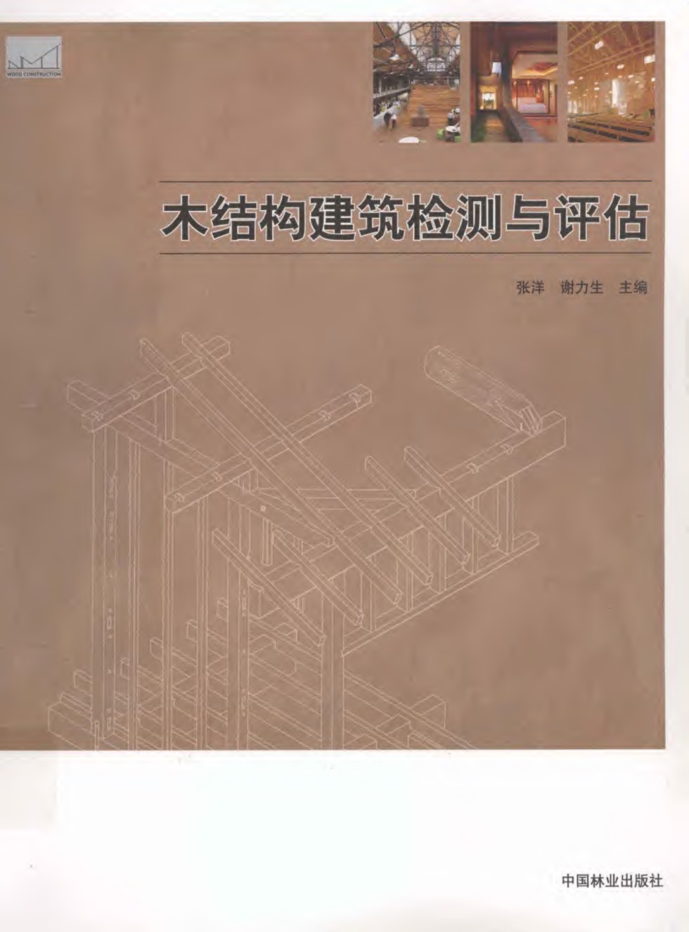 木结构建筑教学资料 木结构建筑检测与评估 张洋 等  2011年