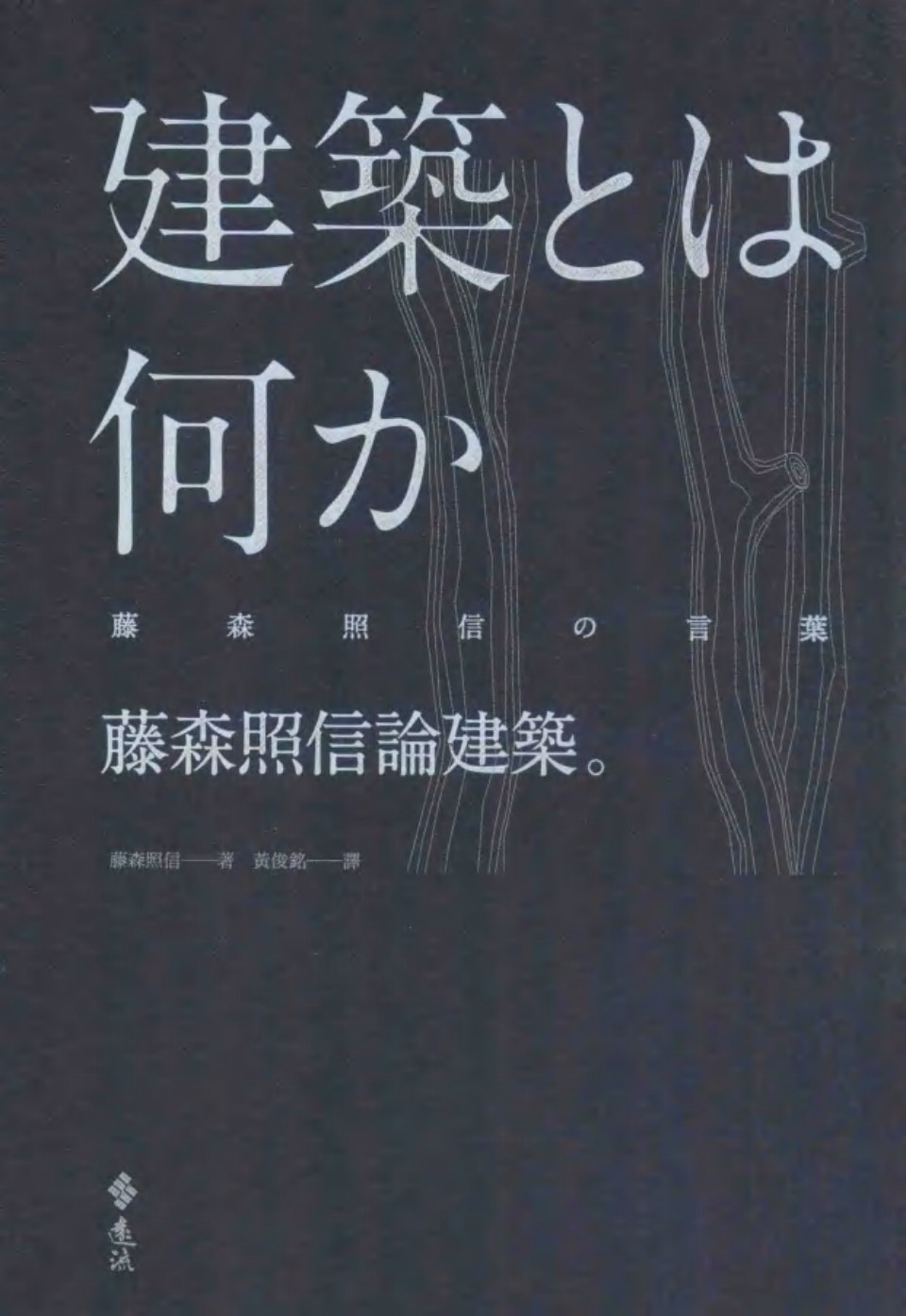 藤森照信论建筑 藤森照信  2014年