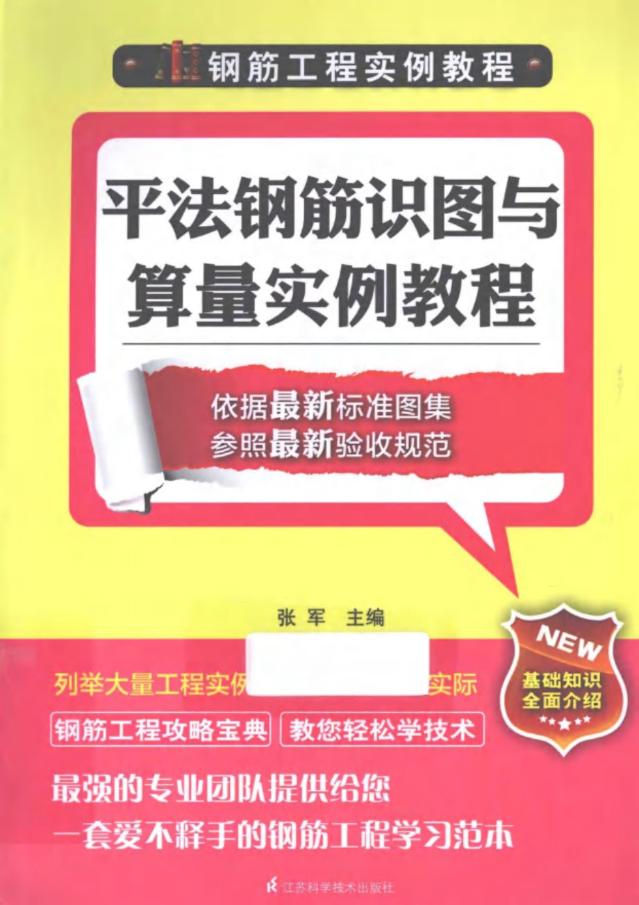 钢筋工程实例教程 平法钢筋识图与算量实例教程 张军 2013年