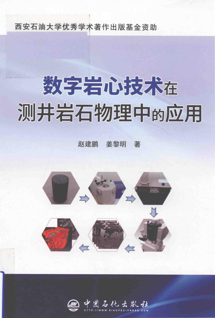 数字岩心技术在测井岩石物理中的应用