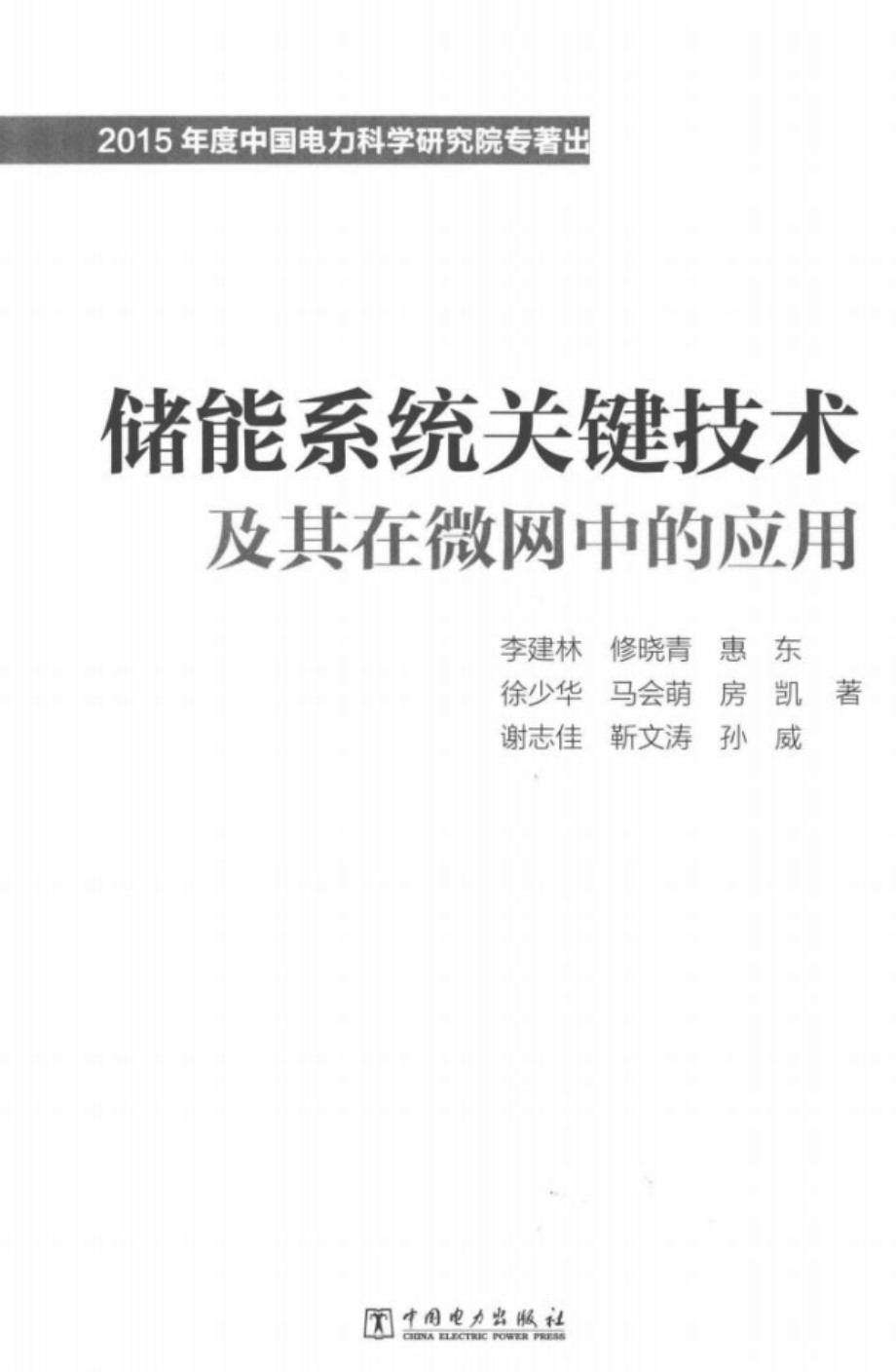 储能系统关键技术及其在微网中的应用 李建林