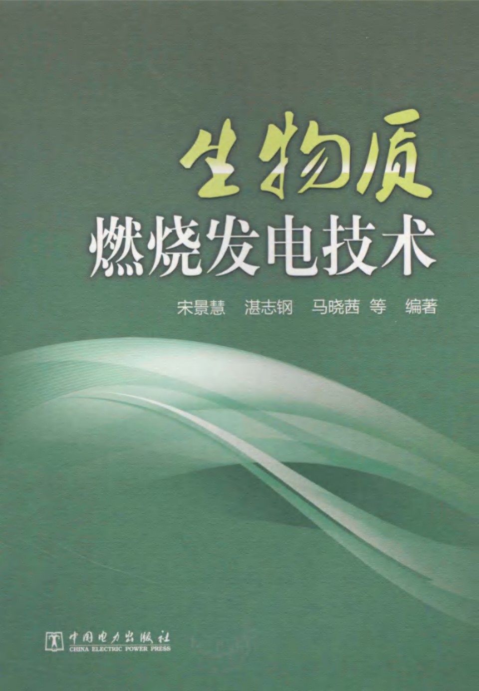 生物质燃烧发电技术 (宋景慧)2013年