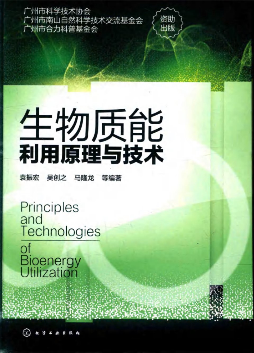 生物质能利用原理与技术 (袁振宏，吴创之，马隆龙) (2016版)