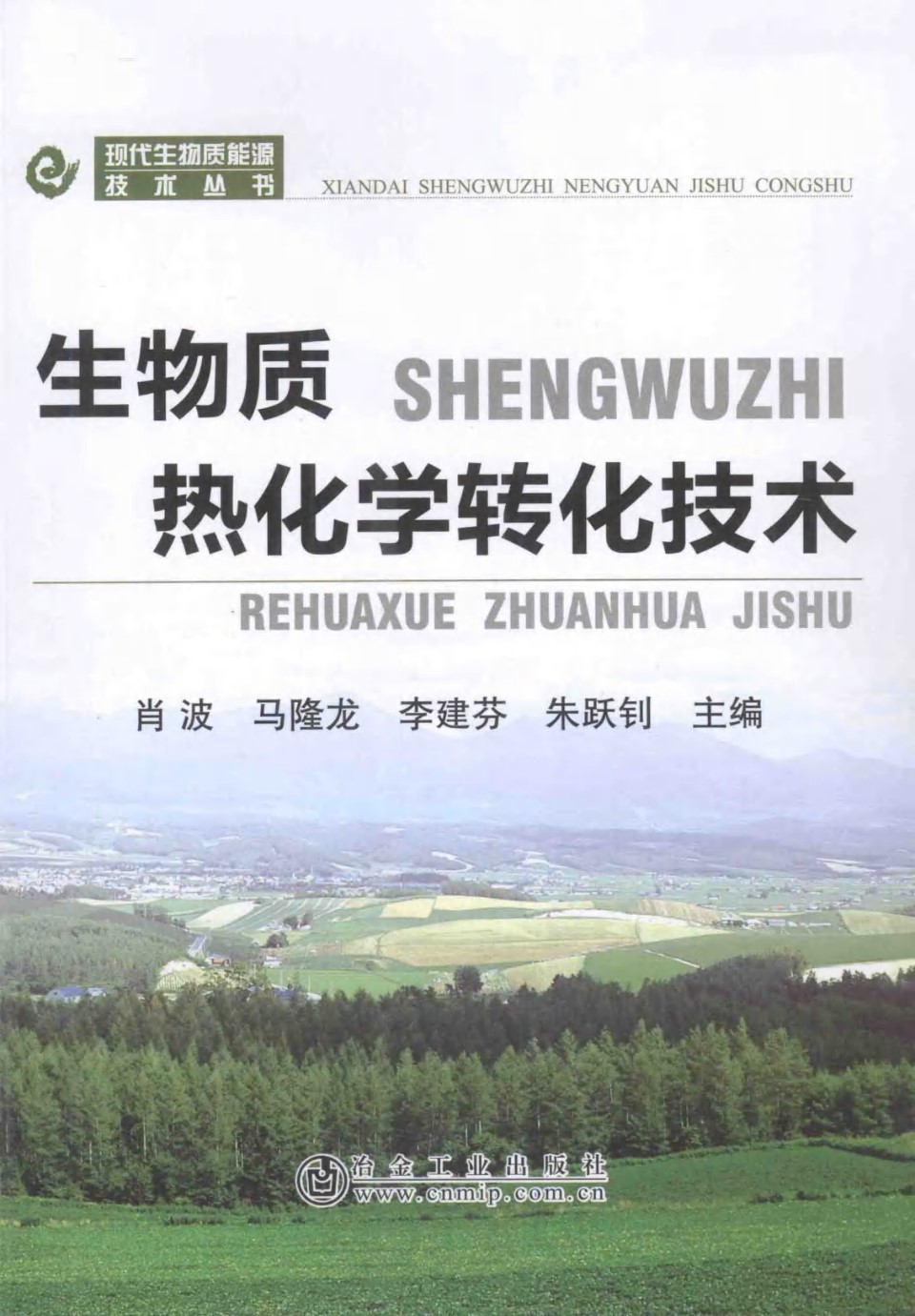 现代生物质能源技术丛书 生物质热化学转化技术