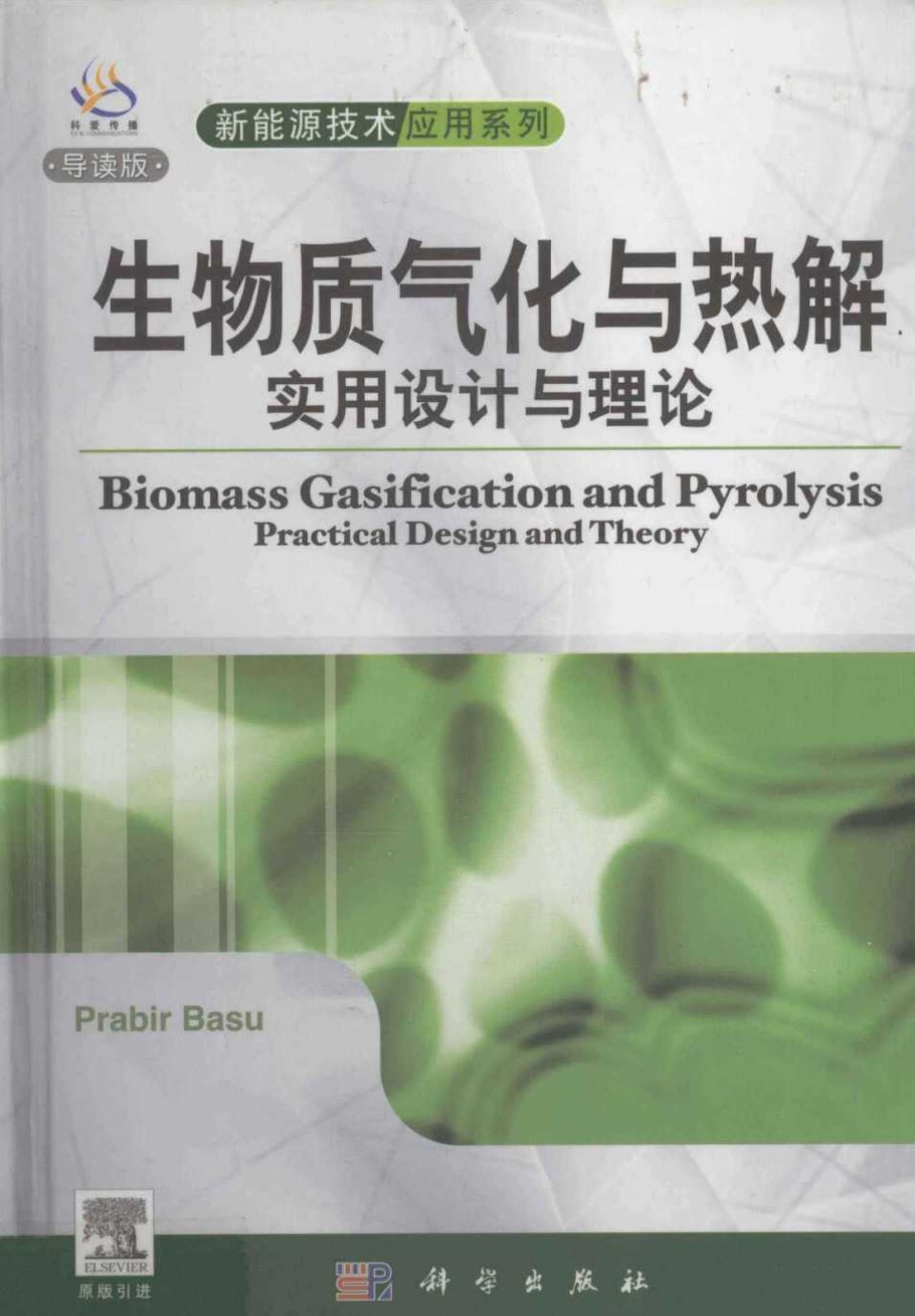 新能源技术利用系列 生物质气化与热解 实用设计与理论 导读版