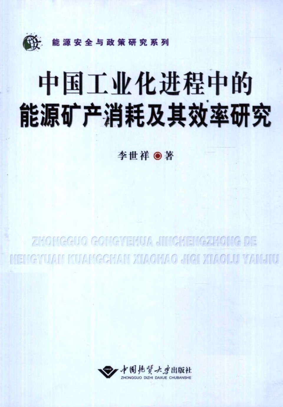 中国工业化进程中的能源矿产消耗及其效率研究