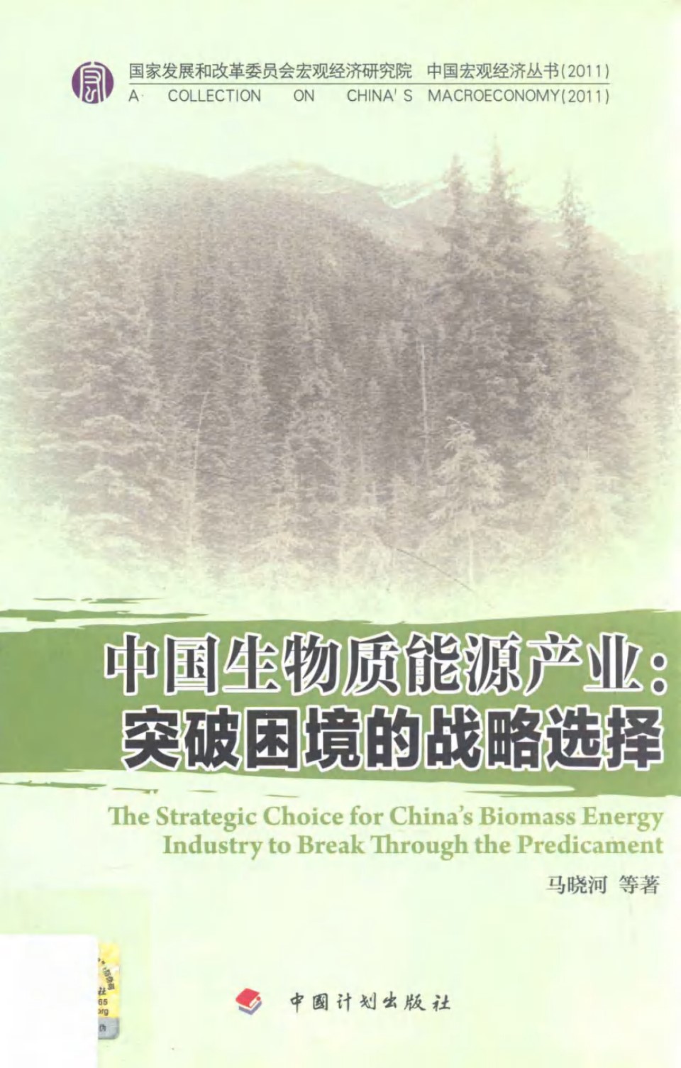 中国生物质能源产业 突破困境的战略选择