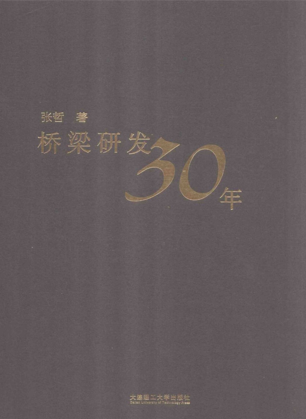 桥梁研发30年 (张哲) 2014