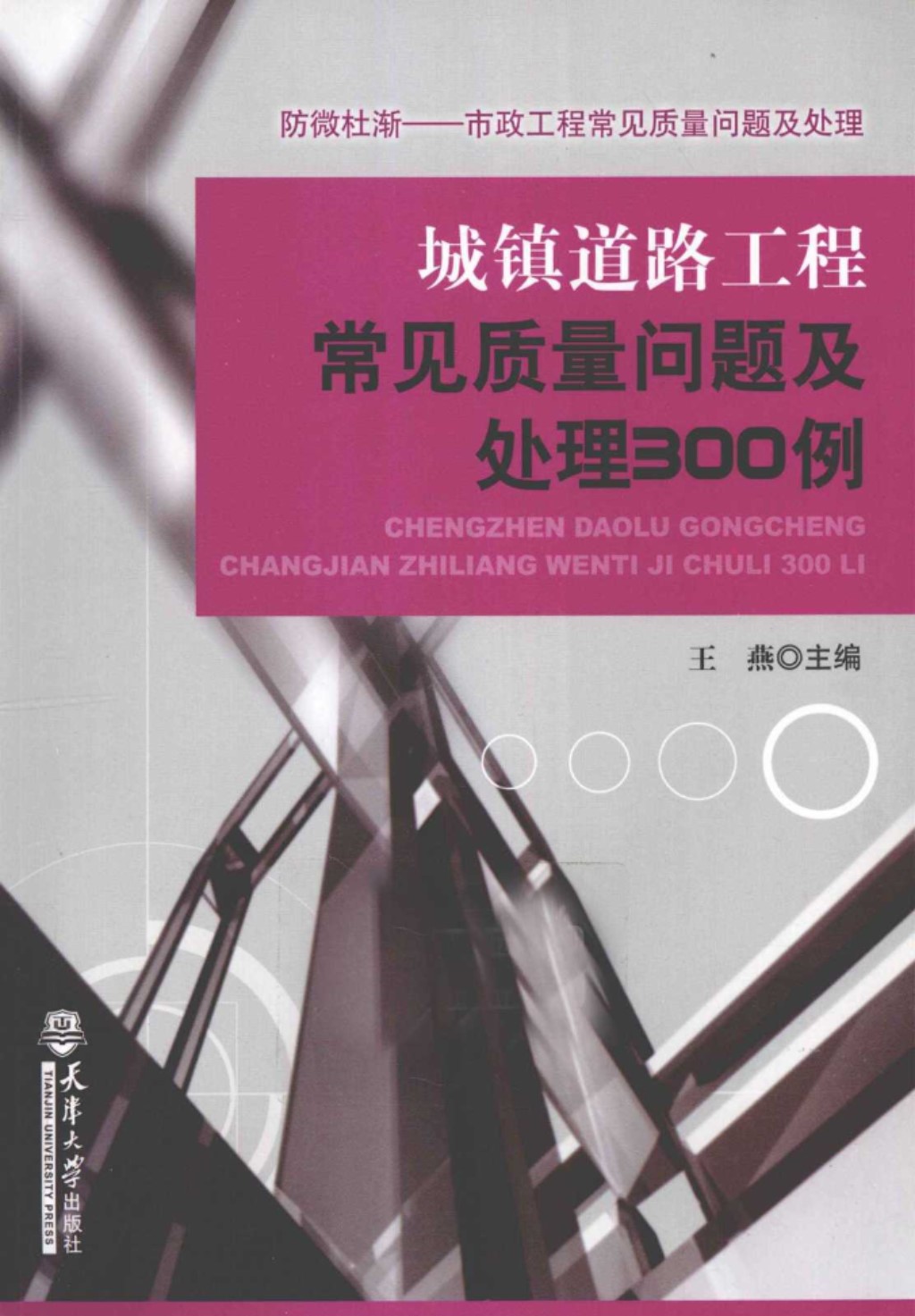 城镇道路工程常见质量问题及处理300例 (王燕) 2011