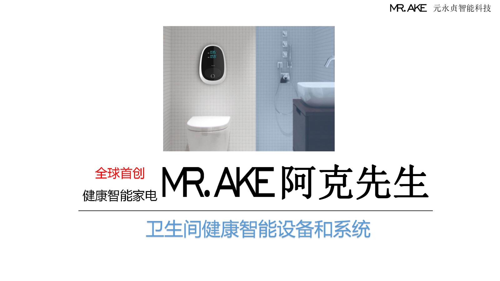 MR AKE 商业计划书